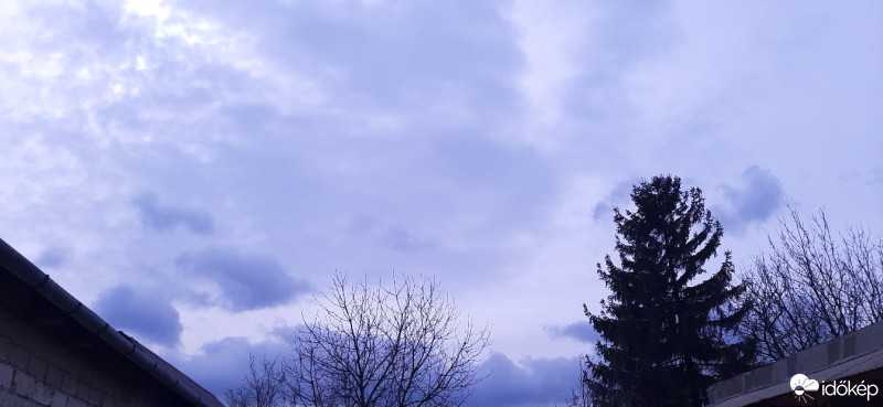 Szár