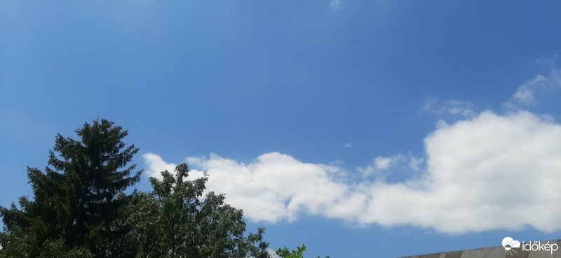 Szár
