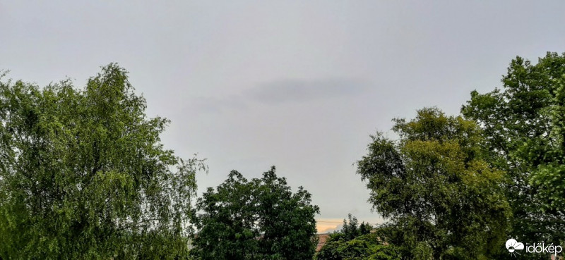 Szár