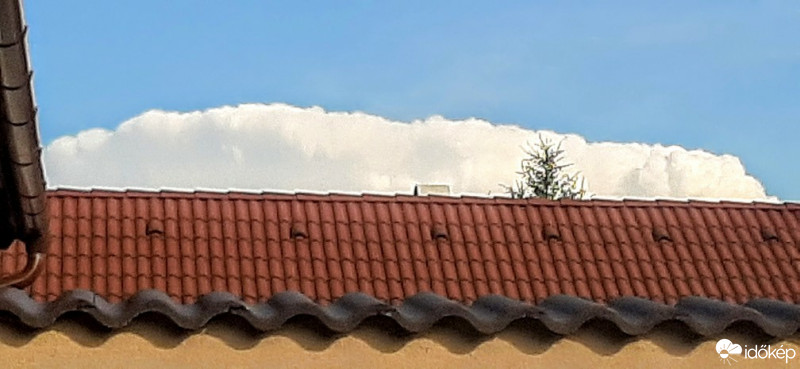 Szár
