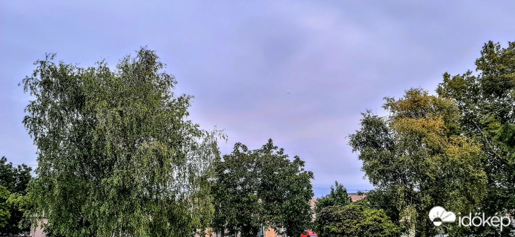 Szár