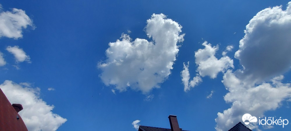 Szár