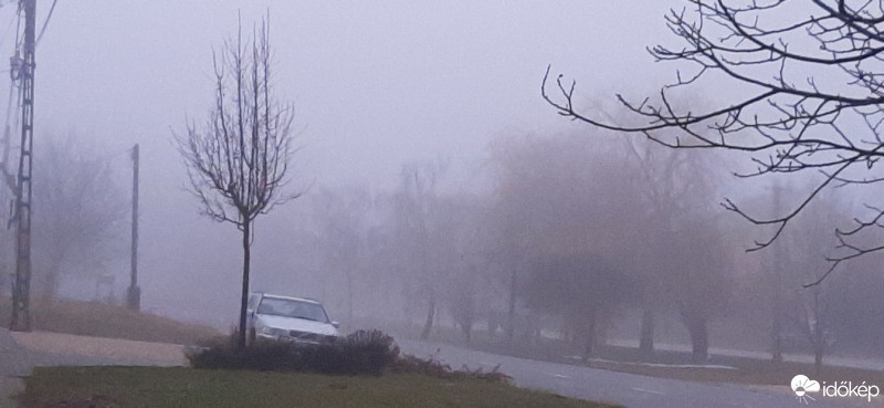 Szár