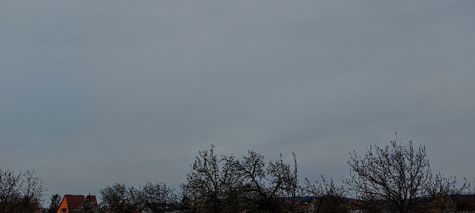 Szár