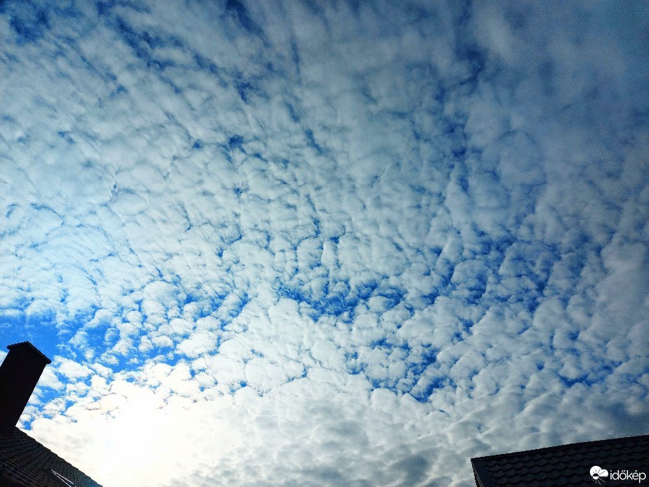 Szár