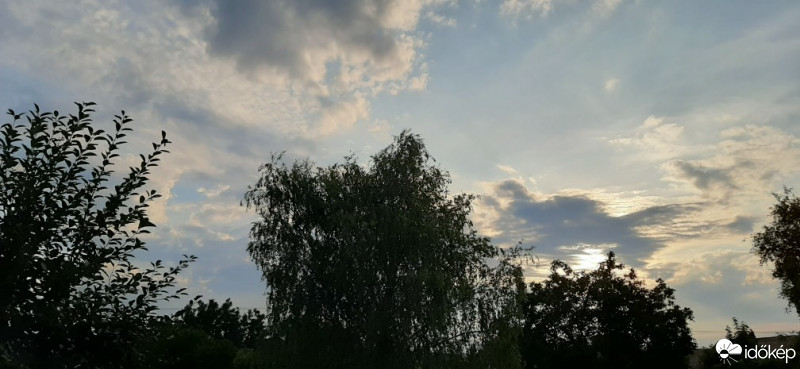 Szár