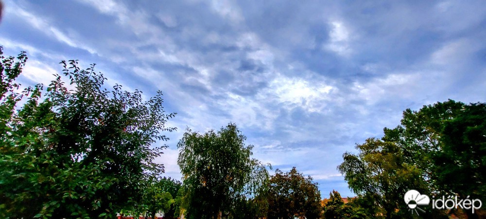 Szár