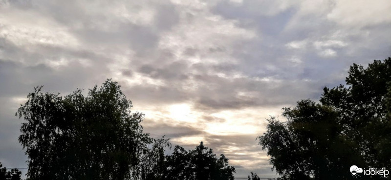 Szár