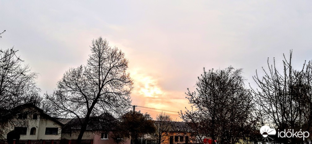 Szár
