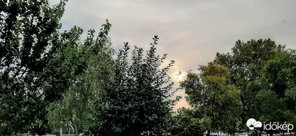 Szár