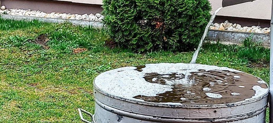 Szár