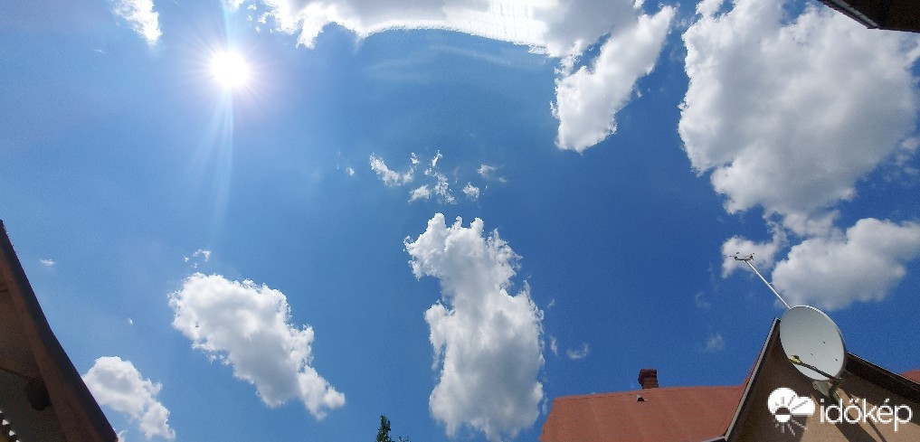 Szár