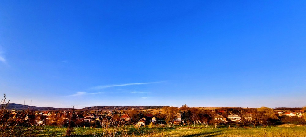 Szár