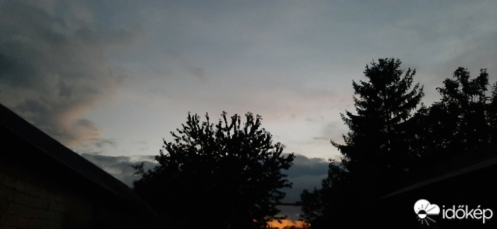 Szár