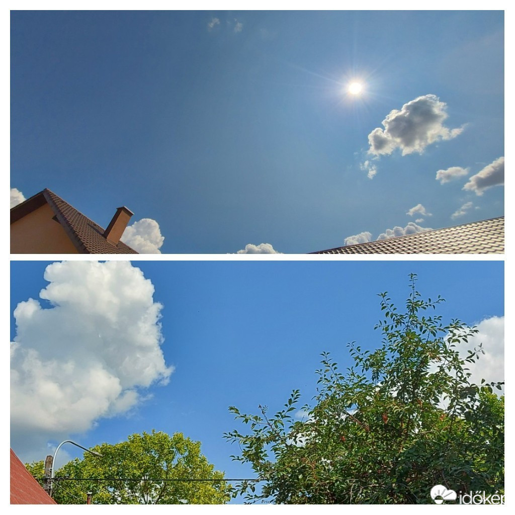 Szár