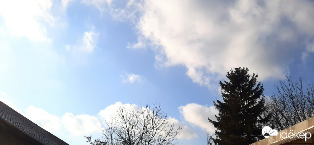 Szár