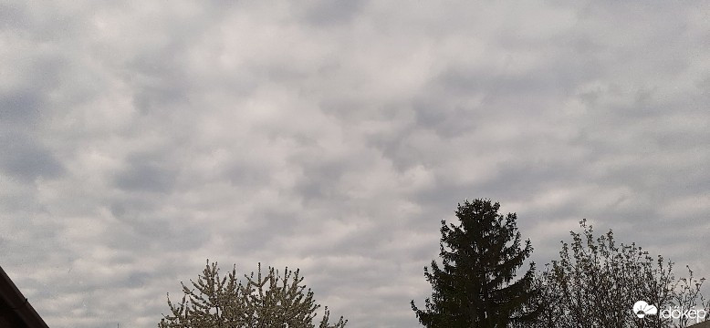 Szár