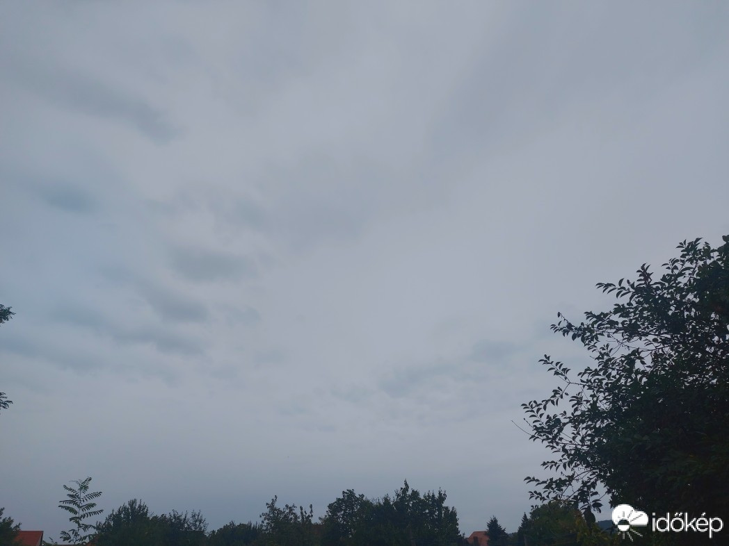 Szár