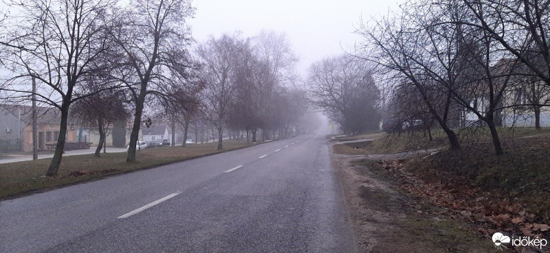 Szár