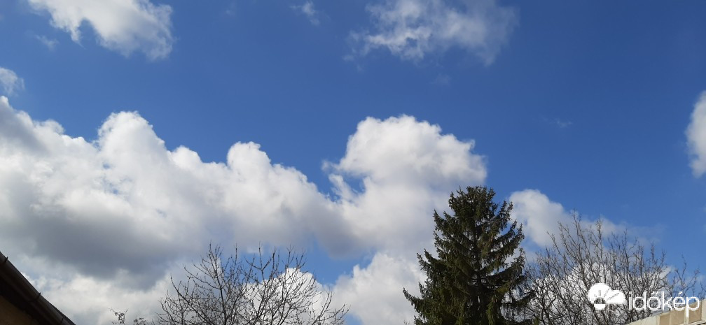 Szár
