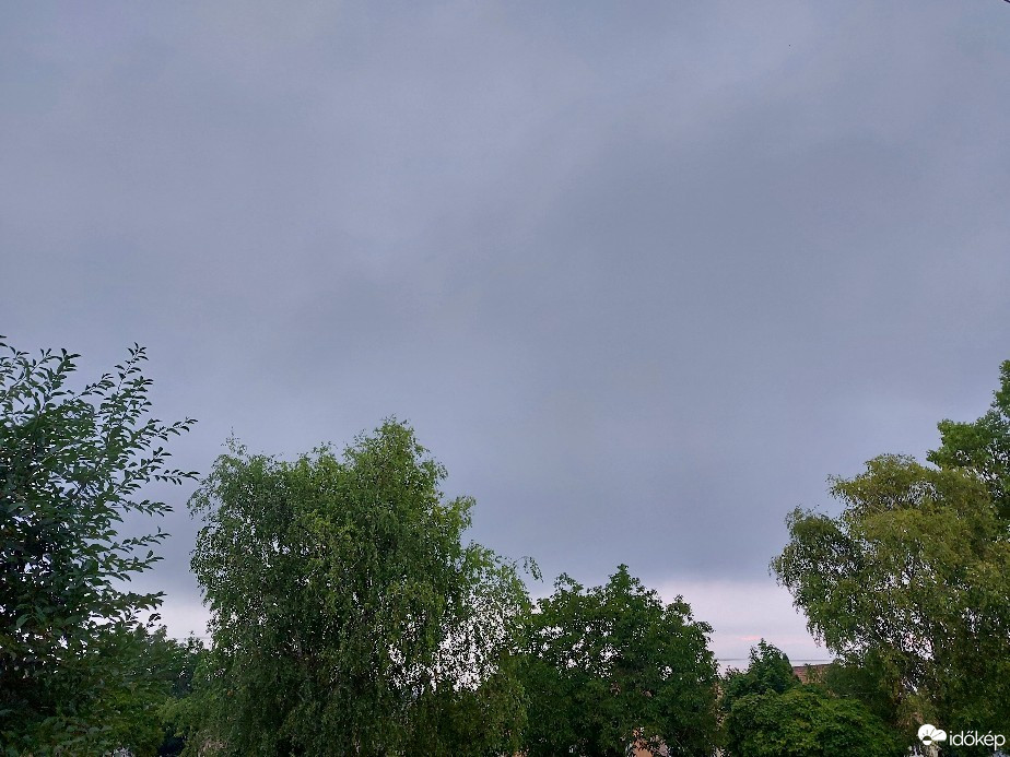 Szár