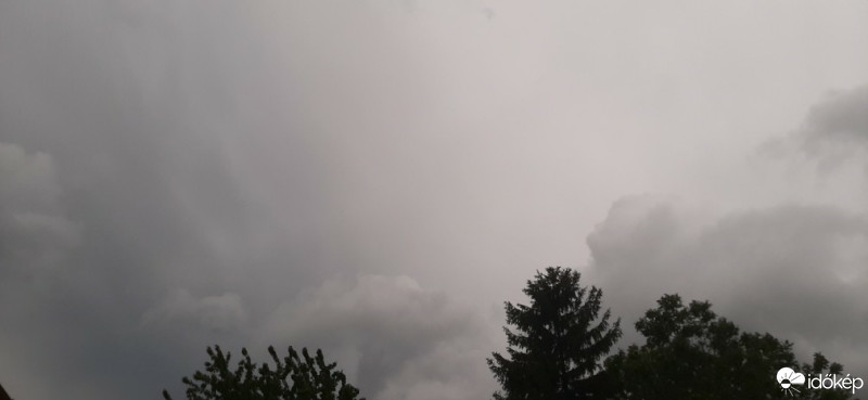 Szár