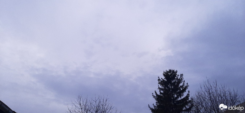 Szár