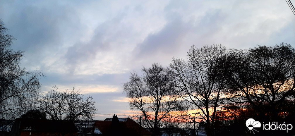 Szár