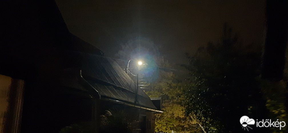 Szár