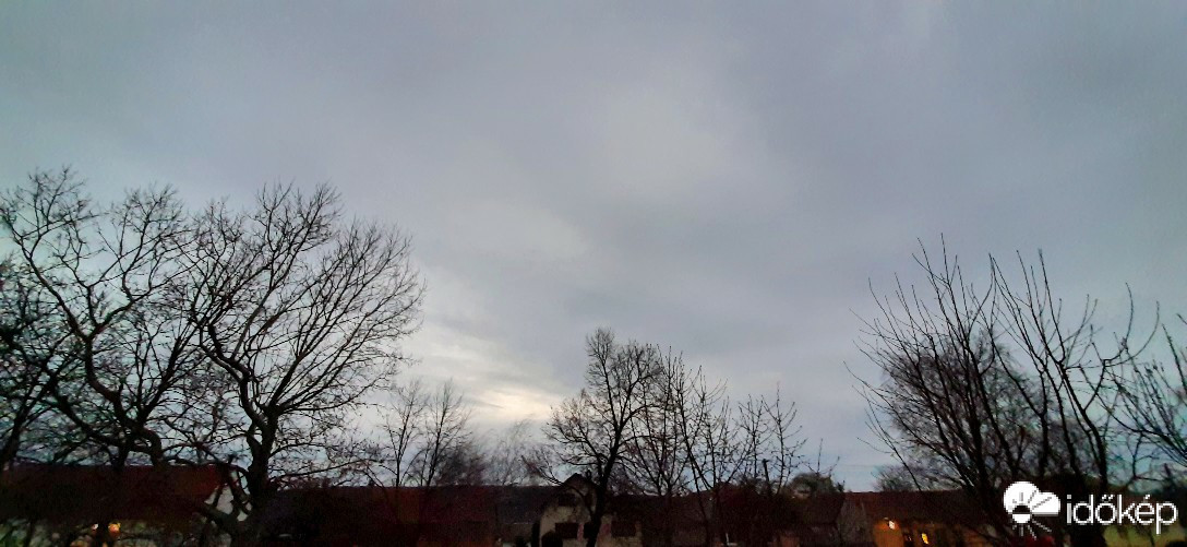 Szár