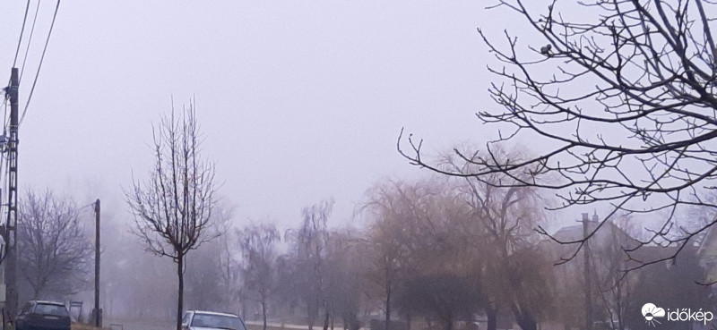 Szár