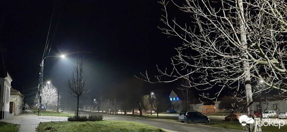 Szár