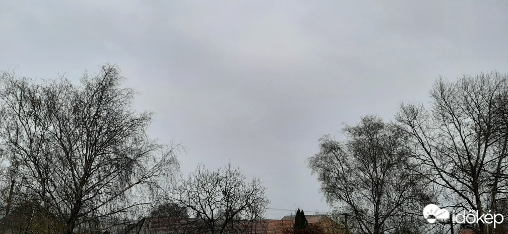 Szár