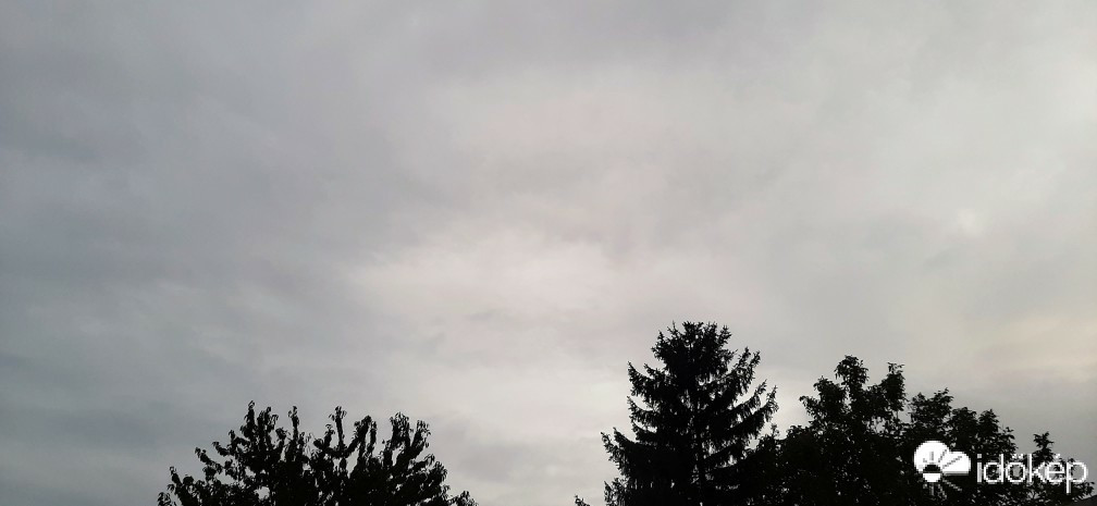 Szár