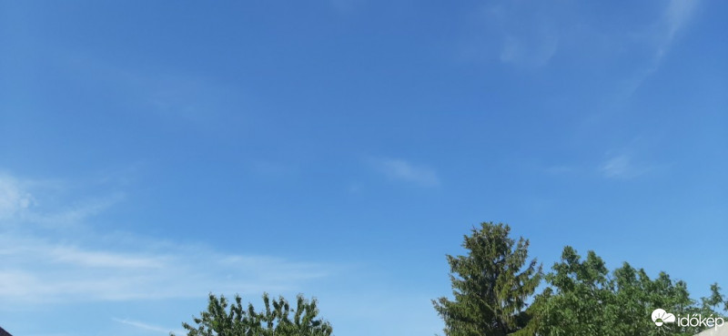 Szár
