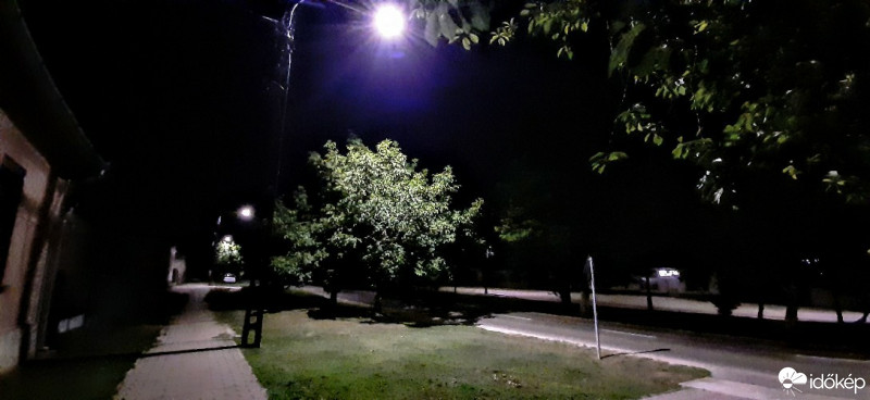 Szár
