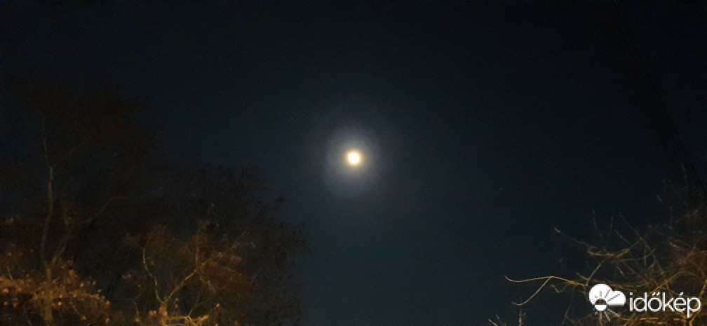 Szár