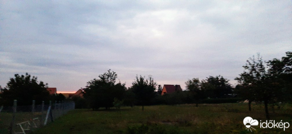 Szár