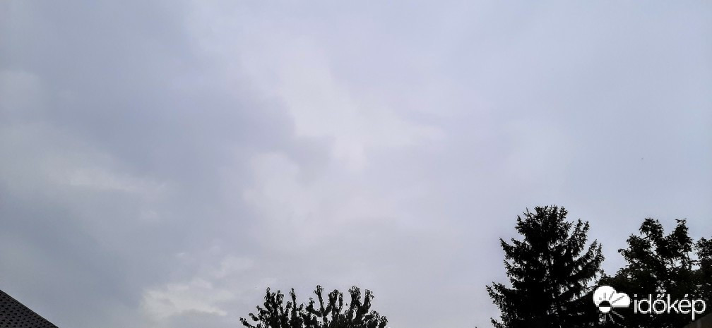 Szár