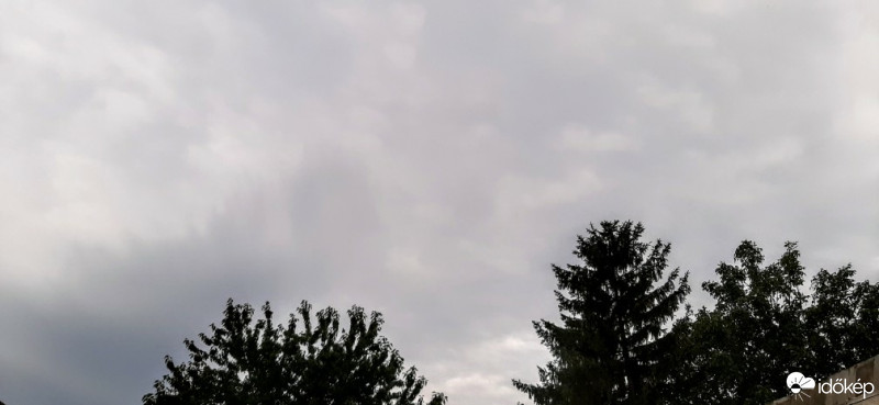 Szár