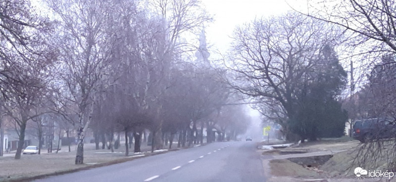 Szár