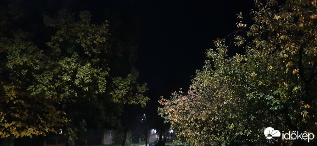 Szár