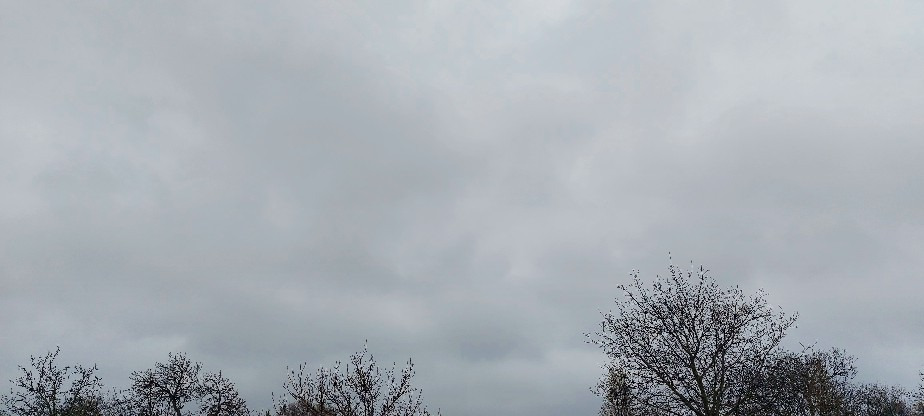 Szár