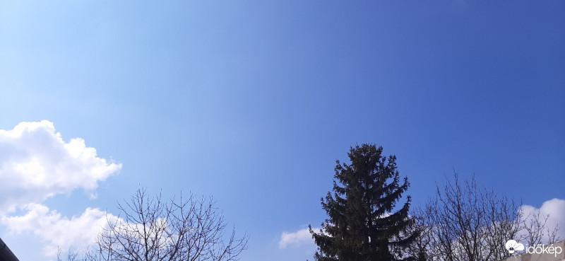 Szár