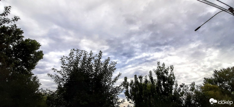 Szár
