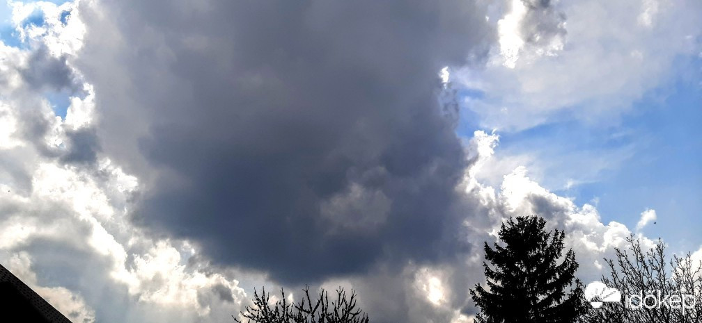 Szár