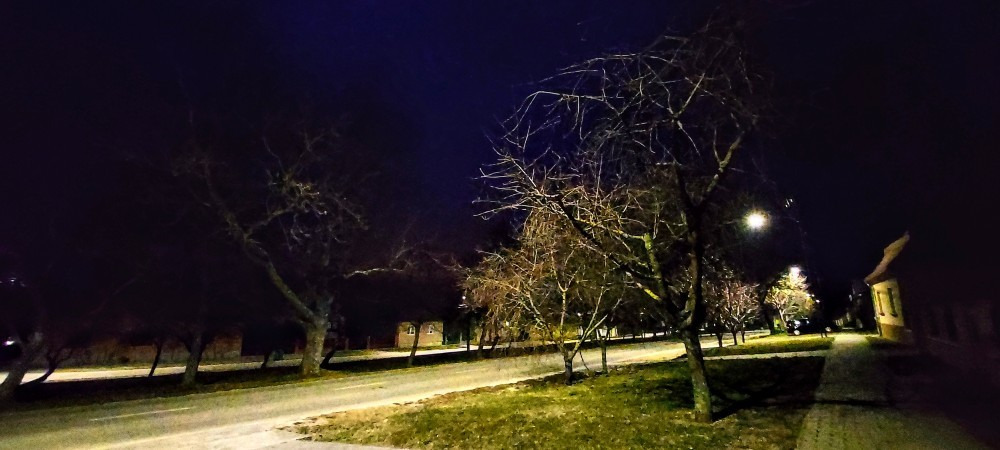 Szár