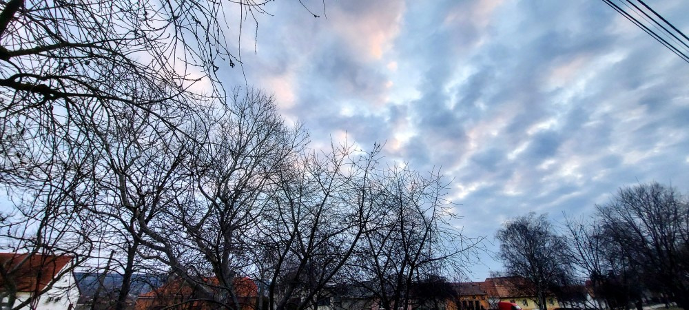 Szár