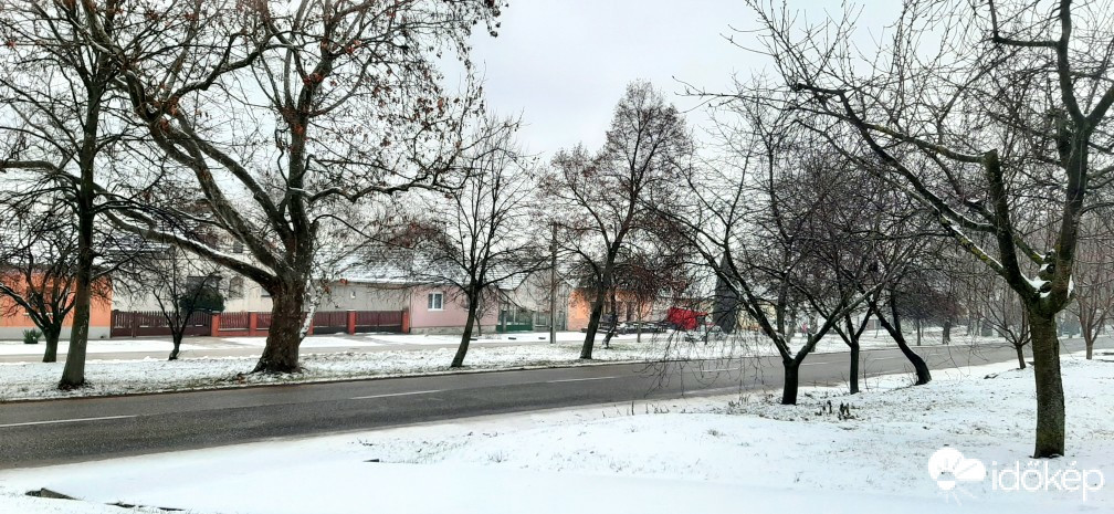 Szár