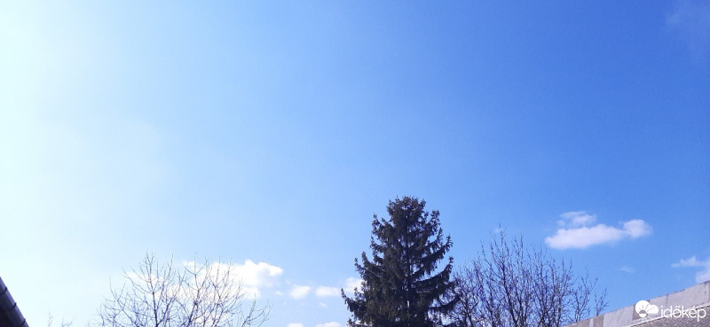 Szár